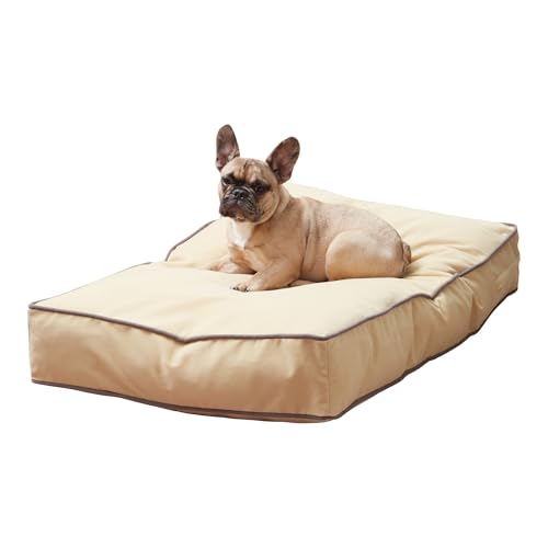 Happy Hounds Buster Hundebett, wendbar, rechteckig, Beige, Größe S (91,4 x 61 cm) von Happy Hounds