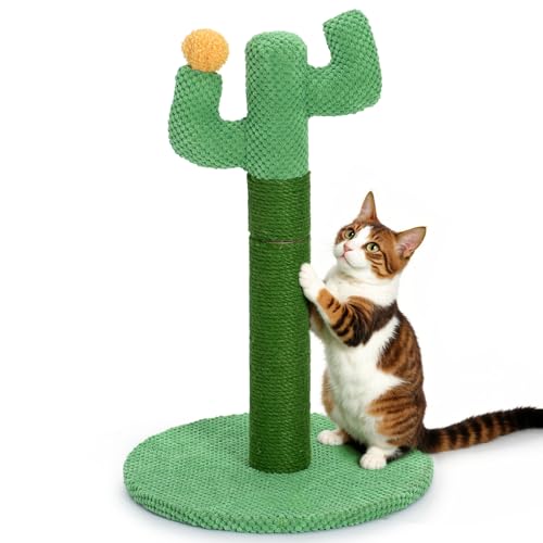 Happy & Polly Kratzbaum für Katzen - Kaktus-Kratzstamm aus Jute - Höhe 50cm klein kreative kratzsäule mit Stabile Basis für Kätzchen und Erwachsene Katzen - Grün von Happy & Polly