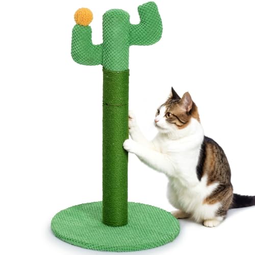 Happy & Polly Kratzbaum für Katzen - Kaktus-Kratzstamm aus Jute - Höhe 60cm kreative kratzsäule mit Stabile Basis für Kätzchen und Erwachsene Katzen - Grün von Happy & Polly