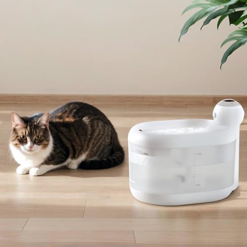 Katzenbrunnen Kabellos mit Bewegungsmelder Batteriebetrieb 4400mAh - Happy & Polly Trinkbrunnen für Katze Kabellos 2,2L mit Kabellos Pumpe Leiser Betrieb für Katze und Kleine Hunde, 2 Filter von Happy & Polly