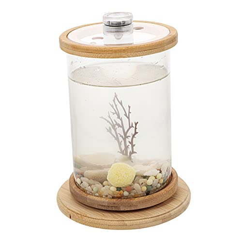 Happyyami 1 Satz Desktop Micro View Aquarium Aquarienbecken Für Den Haushalt Dekoratives Aquariumbecken Transparentes Aquarium Desktop-Dekoration Zylinder-Aquarium Kunstpflanze Glas Brown von Happyyami