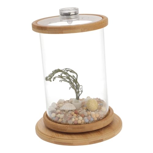 Happyyami 1 Satz Desktop Micro View Aquarium Bürobedarf Transparentes Aquarium Hydroponisches Pflanzenterrarium Künstliche Pflanzen Hydroponische Pflanzen Fischglas Für Den Haushalt von Happyyami