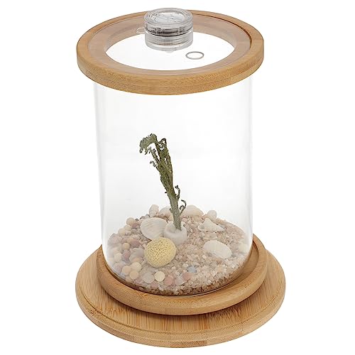 Happyyami 1 Satz Desktop Micro View Aquarium Die Büroeinrichtung Anfänger-Aquarium Hydroponische Pflanzen Künstliche Pflanzen Mini-bürobedarfsset Kleine Behälter Desktop-Dekoration Green von Happyyami