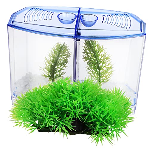 Happyyami 1 Satz Fischbecken Aus Kunststoff Aquarium Anlasser Dekorationen Für Aquarien Grüne Luft Panzer Bausatz Künstlich Halter Auto Fischbecken Klar Wasserpflanzen: PVC von Happyyami