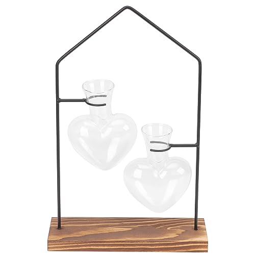 Happyyami 1 Satz Hydroponik-Ornamente Aus Glas Pflanzen Einzigartig Selbstbewässernde Kugeln Vermehrungsvase Vasen Töpfe Draußen Groß Große Bodenvase Zylindervase Transparent Eisen von Happyyami