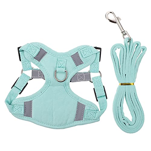 Happyyami 1 Satz Katzenleine Trainingsleine für Hunde Kätzchen Käfig Katzengeschirr und Leine Frettchen Welpenleine Abs Haustier Geschirr Haustierbedarf reflektierender Stoff Green von Happyyami