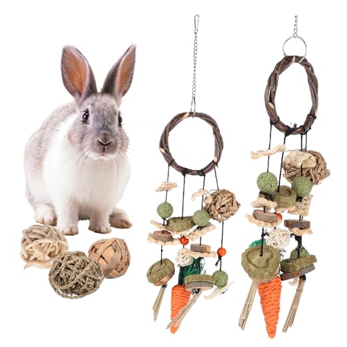 Happyyami 1 Satz Molare Spieße Ratte Meerschweinchen kaut Schweine Hasenkäfig kleintierspielzeug Toys for small Animals Kaninchenspielzeug für Haustiere Hasenspielzeug für den Käfig hölzern von Happyyami