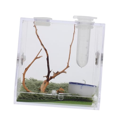 Happyyami 1 Satz Springspinnen-Zuchtbox Käfig Betrachterglas Frosch-Panzer Minizaun insektenhäuser Mini Terrarium Mini-Luftbefeuchter Tier Spinnengehege Zubehör Spinnenlandschaft Fall Acryl von Happyyami