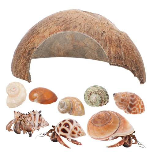 Happyyami 1 Set Coconut Shell Hermit Crab Lebensraum Natürliche Meer Muschel Aquarium Dekoration Reptil Hideouts von Happyyami