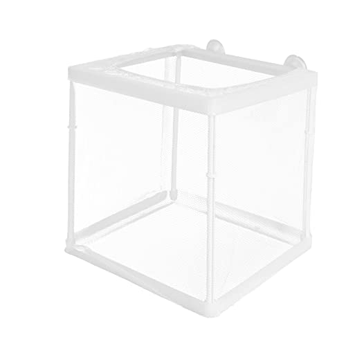 Happyyami Fischzuchtbox Für Aquarium Fische Isolationsbox Fischzuchtbecken Brutkasten Aus Netz Und Klebematerial Für Langlebigen Gebrauch Leicht Zu Reinigen Sicher Für Fischzucht Happyyami Fischzuchtbox Für Aquarium Fische Isolationsbox Fischzuchtbecken Brutkasten Aus Netz Und Klebematerial Für Langlebigen Gebrauch Leicht Zu Reinigen Sicher Für Fischzucht von Happyyami