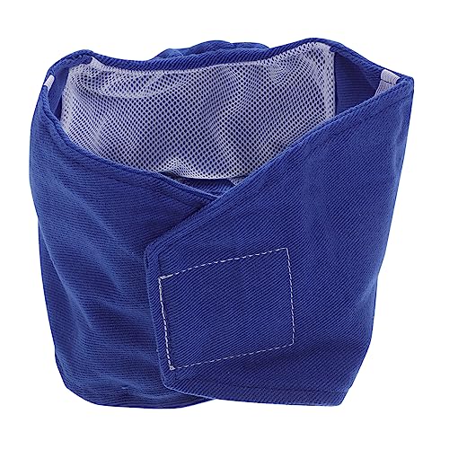 Happyyami 1stk Hygieneunterwäsche Für Hunde Hundehose Haustier Pañales para Machos Hundeaktivität Hygieneunterwäsche Für Männliche Hunde Physiologische Hosen Hundekleidung, Unterwäsche Blue von Happyyami