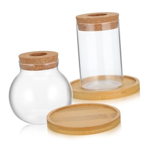 Happyyami Minimalistisches Holzvasen-Set Glas-einzelblumentopf Mit Tablett Moderne Glasterrarien Für Die Inneneinrichtung von Happyyami