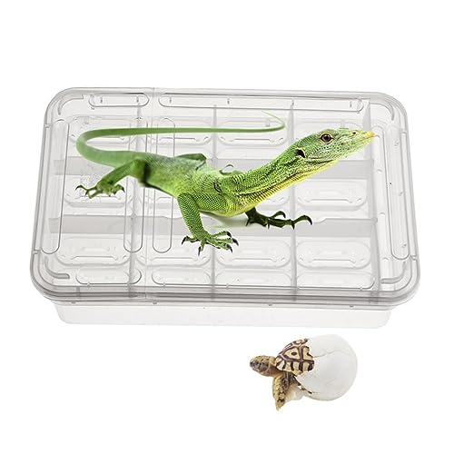 Happyyami 24 Inkubator Reptil Schraffur Fischnetz Schildkröte Aquarium Skimmer Für Aquarien Gecko Bausatz Verstecken Schlangenhaut von Happyyami