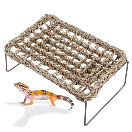 Happyyami 2St Eidechsengrasmatte Lizard Lounge Hängematte Reptilienbett für Haustiere Eidechsenliege Bartagame Hängematte Kletterleiter für Reptilien bärtiges Drachenbett Eidechsenbett Eisen von Happyyami