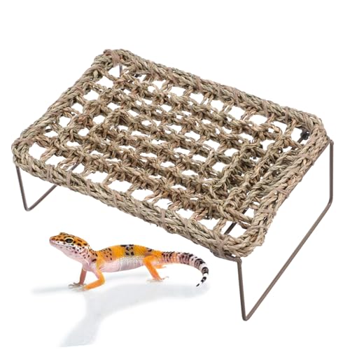 Happyyami 2St Eidechsengrasmatte Spielzeug Tier Lizard Lounge Hängematte Reptilien-Hängemattenschaukel Reptilien-Hängebett Lebensraum für Reptilien-Eidechsen Eidechsenbett Eisen von Happyyami