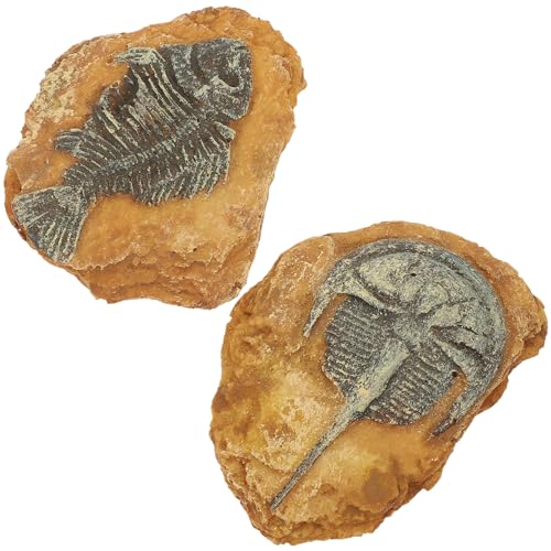 Happyyami 2stücke Kreative Terrarium-Dekorationen Aus Kunstharz Simulation Fossilien Für Reptilien-Landschaft Geeignet Für Schlangen Eidechsen Und Andere Kleintiere Happyyami 2stücke Kreative Terrarium-Dekorationen Aus Kunstharz Simulation Fossilien Für Reptilien-Landschaft Geeignet Für Schlangen Eidechsen Und Andere Kleintiere von Happyyami