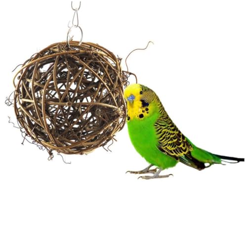 Happyyami 2st Kleine Vogelspielzeuge Papagei Rattankugeln Vogelspielzeug Aus Rattan Papageienspielzeug Hölzern von Happyyami