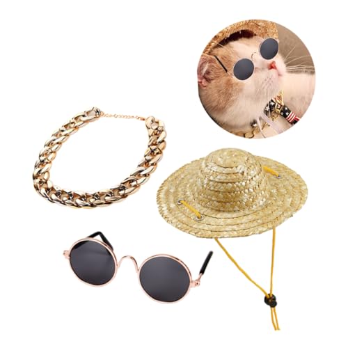 Happyyami 3st Sonnenbrille Hund Goldene Halskette Chokerkette Für Hunde Passendes Hundehalsband Und Haustierhalsbänder Für Kleine Hunde Hüte Für Hunde Haustier Brille Brillen Für Katzen von Happyyami