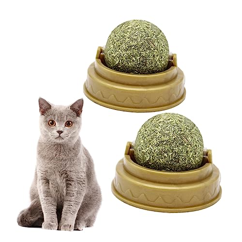 Happyyami 4 Stück Katzenbissball Leckereien Für Katzen Interaktives Katzenspielzeug Katzenminze Molarer Kaubiss Katze Leckt Ball Katzensnacks Drinnen Snacks Für Katzen von Happyyami