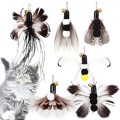 Happyyami 6 STK Kitten katzenspielzeug kratzen cat Toys Katzen Angeln für Wohnungskatzen Katzenhalsband Katzenzauberstab Katzenspielzeug Zauberstab Plastik von Happyyami