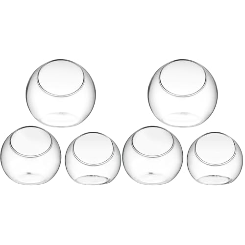 Happyyami 6 Stück Bubble Glass Clear Plant Pot Sukkulenten Pflanze Terrarium Schüssel Glas Terrarien für Pflanzen Glas Pflanzgefäß Topf Pflanzenbehälter Terrarium Gläser Glasdekorationen Saftig von Happyyami