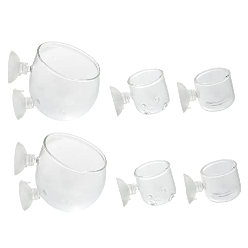 Happyyami 6 Stück Zuchtbecher Schüssel Becher Aquarium Pflanzgefäß Klare Blumentöpfe Pflanzentöpfe Aquarium Pflanzenhalter Aquarium Pflanzenbecher Aquarium Pflanzenhalter Aquarium von Happyyami