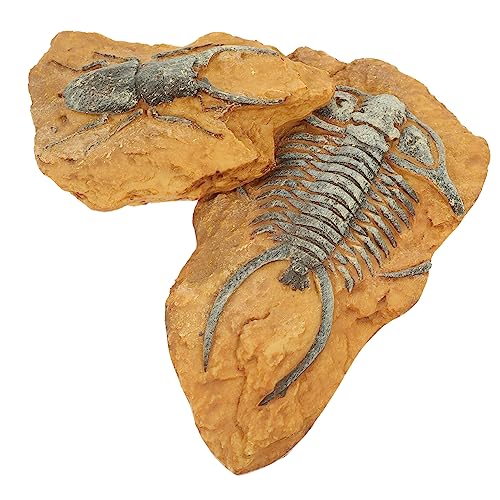 Happyyami 8 STK simuliertes Harzfossil Grabset Fossilien-Ausgrabungsset dekorative Terrariendekore Reptile Decor Terrarium Decor Spielzeug DIY-Landschaft Terrariendekore für Wohnkultur von Happyyami