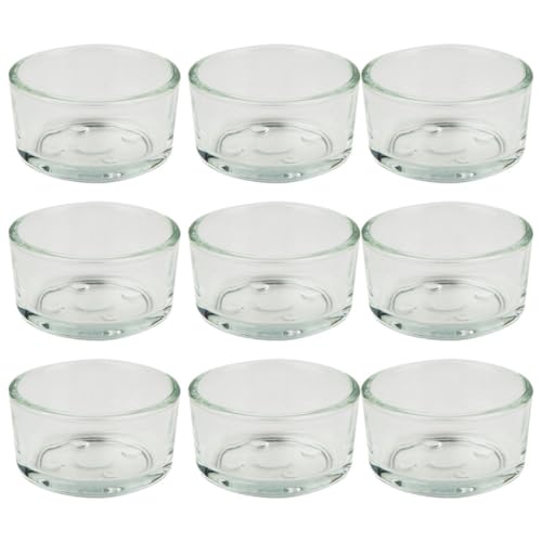 Happyyami 9-teiliges Glas-wasserschalen-Set für Reptilien Eidechsen Schlangen Tiernahrungsbecken Zum Trinken und von Happyyami