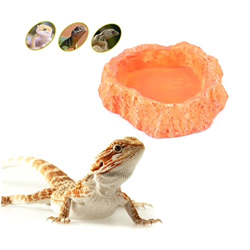 Happyyami Futternapf Für Haustiere Schildkröte Eidechsen-wurmschale Gecko-futtergerichte Reptilienzubehör Eidechsen-futterbecher Wasserschale Futternapf Für Eidechsen Orange von Happyyami