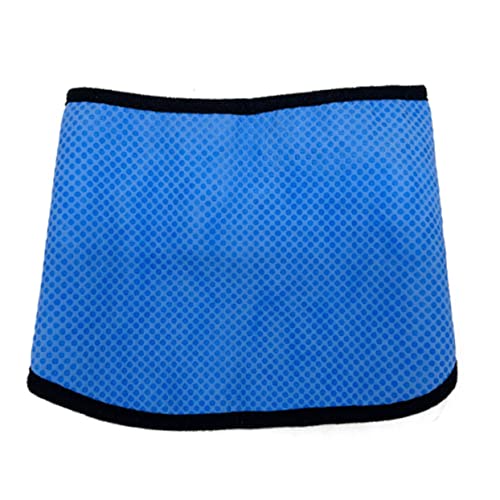 Happyyami Haustier Cooler Schal Hundebandana Kühltuch Für Katzen Hundehalsbänder Für Welpen Eisbandana Für Hunde para Sommer Hundehalsband Hunde Sommer Hund Coole Bandanas PVA Blue von Happyyami