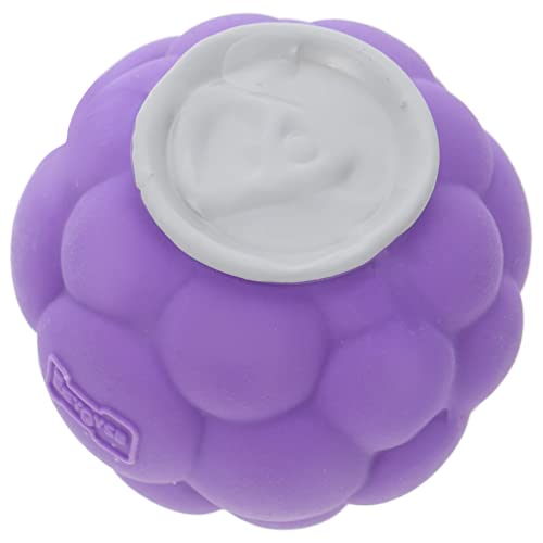 Happyyami Hundespielzeugball Kauspielzeug Für Hunde Hundebedarf Tiere Welpe Spielzeugkorb Für Hunde Transportbox Für Haustiere Haustier Hundenapf Emulsion Violett von Happyyami