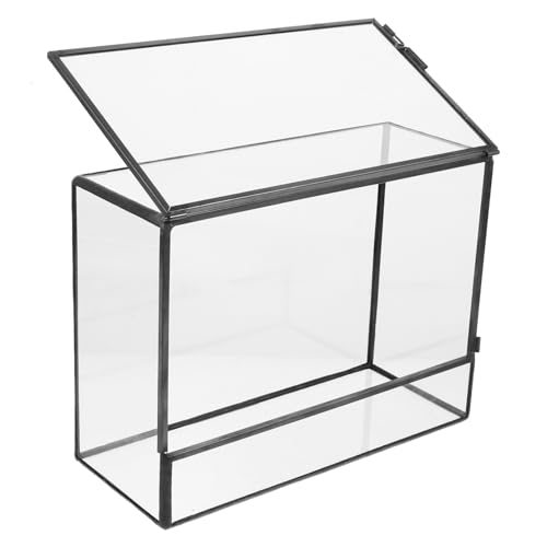 Happyyami Kasten Glas-landschaftstank Einfaches Glasterrarium Glasterrarien Für Pflanzen Ökosystem Terrarium Ökologischer Mooshalter Micro-landschaftshalter Mikro-landschafts-DIY-Halter Zinn von Happyyami