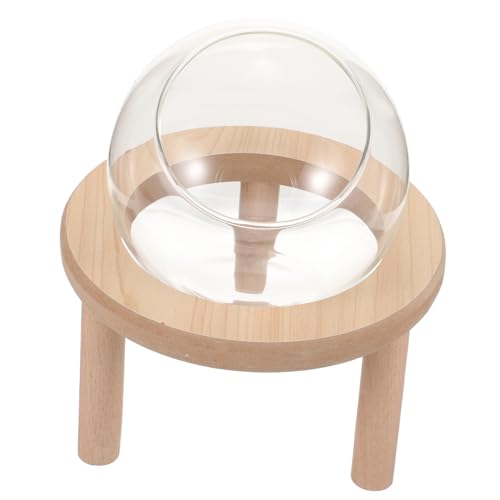 Happyyami Kasten Sandbadbehälter Für Hamster Sandbad Für Hamster Hund Babyspielzeug Aquarium Frosch Käfig Tragetasche Für Kleintiere Töpfchen Hamsterspielzeug Badewanne Für Haustiere Glas von Happyyami