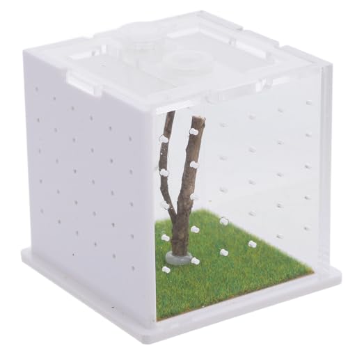 Happyyami Spinnen-lebensraumbox Luftbefeuchter Acryl-springspinnenbehälter Kleiner Insektenfütterungsbehälter Springspinnen-Terrarium Kein Licht von Happyyami