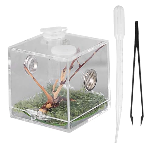 Happyyami Kasten Springspinnen-zuchtbox Duschhaken Tarantel- -Schlinge Reptil Haustier Reptilfall Pet Tank Frosch Träger -Aquarium Plane Pumpe Chamäleon Käfige Hamster Acryl von Happyyami