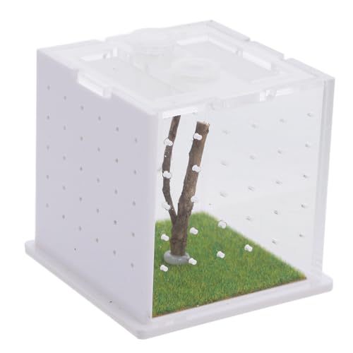 Happyyami Zuchtbehälter für Springspinnen Insektenbox Aus Acryl Spinnenterrarium Inklusive Luftbefeuchter Leicht Zu Reinigendes Design von Happyyami