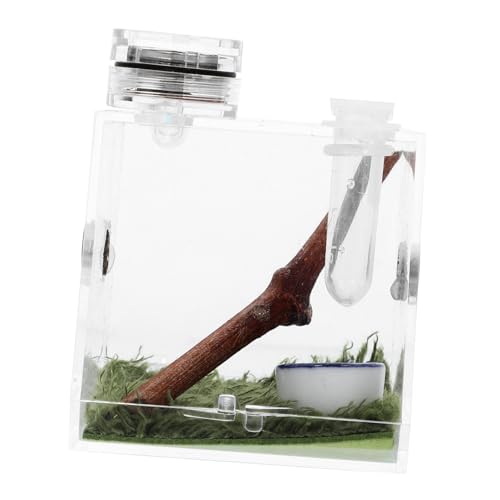 Happyyami 2stücke Spider Habitat Aufbewahrungsbox Kleiner Lebensraum Für Springspinnen Mit Integrierter Lampe Und Feuchtigkeitsregulierung Für Zucht Und Transport Happyyami 2stücke Spider Habitat Aufbewahrungsbox Kleiner Lebensraum Für Springspinnen Mit Integrierter Lampe Und Feuchtigkeitsregulierung Für Zucht Und Transport von Happyyami