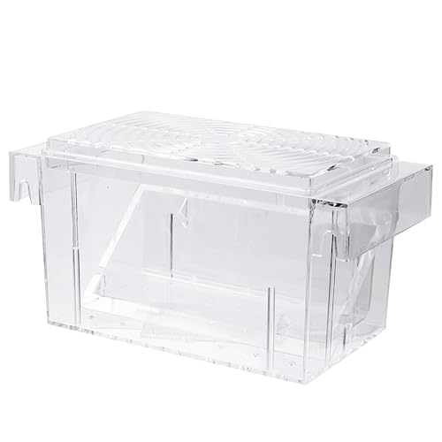 Happyyami Kasten Zuchtbecken für Aquarien Fisch-Eier-Inkubator-Tumbler Brutstätte für Artemia Garnelen Inkubator Fischgärtnerei für Aquarien Guppys isoliertes Aufzuchtbecken Transparent von Happyyami