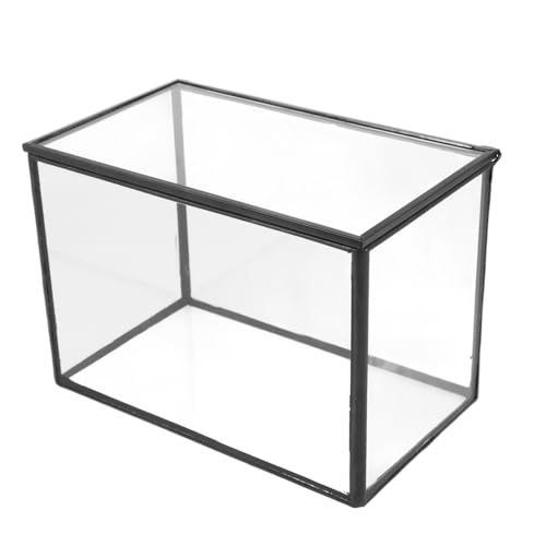 Happyyami Mikrolandschaftsgewächshaus Kleines Terrarium Landschaftsbehälter Micro-landschaftshalter Tischschmuck Saftiges Terrarium Moosterrarium Pflanzenetui Terrarienmoos Transparent Glas von Happyyami