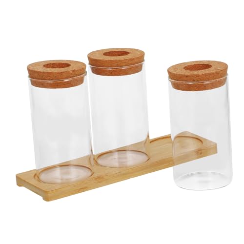 Happyyami Satz Hydro Ponische Pflanzen Flasche Pflanzgefäß Für Vermehrungsstationen Vermehrungsvase Hydroponische Vermehrungsstation Terrarienpflanzer Tischplatten Aus Glas Kork Transparent von Happyyami