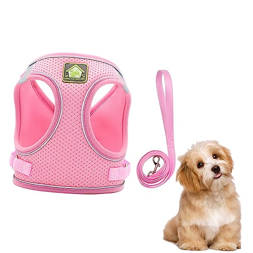 Happyyami Set Brustgurt Für Haustiere Kleines Hundegeschirr Mesh Hunde Gamefowl Zubehör Leine Outdoor Haustierweste Reflektierender Brustgurt Polyester Haustiergeschirr von Happyyami