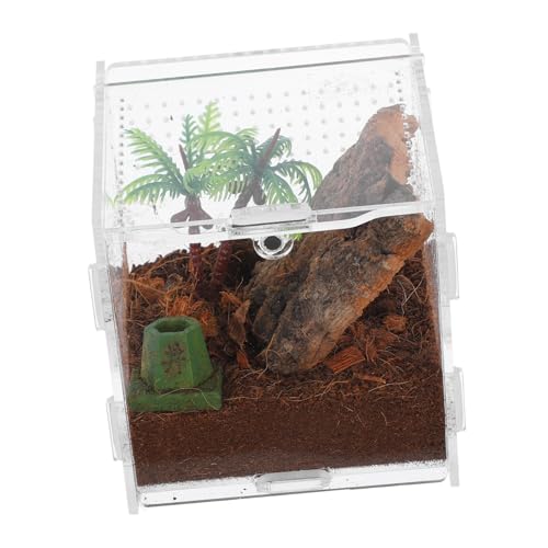 Happyyami Spinnenbox Für Haustiere Kleines Spinnengehege Mikrolebensraum Schildkrötengehege Springspinne-gehege-Set Haustierkäfig Springender Spinnenkäfig Kleines Terrarium Acryl von Happyyami