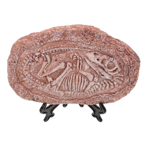 Happyyami paläontologischer Trilobit Fossil Reptilien Tierpräparat Schädel-Dekoration Terrarienlandschaft Ornament Requisiten lehren Dinosaurier-Exemplarstein Dinosaurier für Exemplar Harz von Happyyami