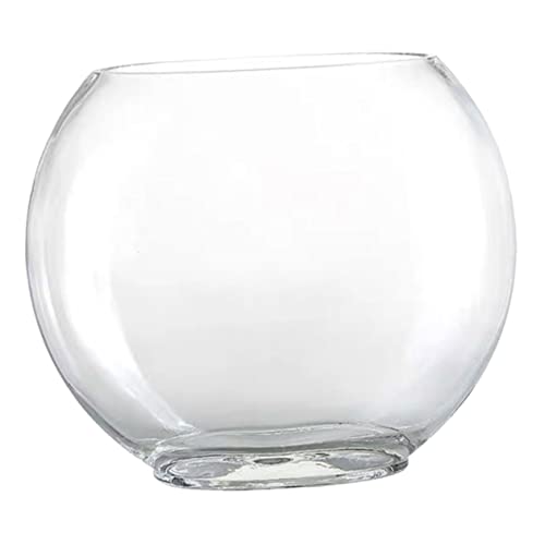 Happyyami Kreatives Pflanzen Terrarium Aus Mikro Landschaftsbehälter Für Wasserpflanzen Transparentes Ökosystem Für Schreibtisch Deko Durchmesser von Happyyami