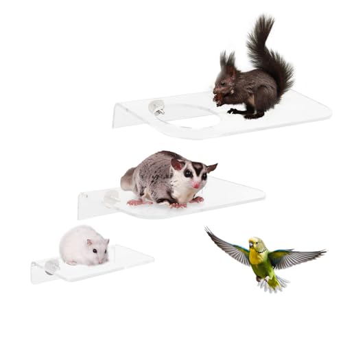 HardcorePet Acryl Transparent Plattform 3 Stück Set Sugar Glider Käfig Zubehör Hamster Lebensraum Stabiles Steh- und Sprungbrett für Vögel, Ratten, Meerschweinchen und Chinchilladale (3 Stück) von HardcorePet