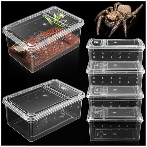 Kleine Springspinnengehege, 6 Stück, Spinnen-Terrarien, Spinnenzuchtbox, Insektenbehälter, transparenter Schlüpfbehälter, Kunststoff-Futterbox – 6 Stück Super Mini von Harhana