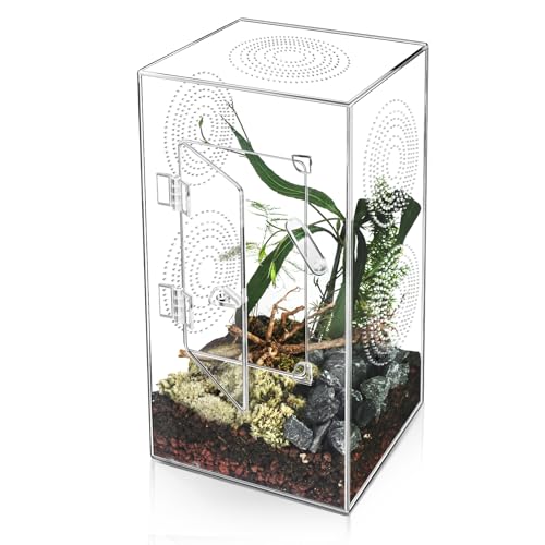 Springspinnengehege – 29,2 x 15,2 x 15,2 cm großes Acryl-Terrarium, Vogelspinnen-Gehege – Reptiliengehege mit Tür an der Vorderseite – Springspinne Habitat Gehege Zubehör von Harhana