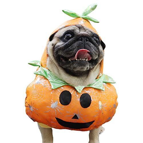 Harikaji Kürbis-Outfit für kleine Hunde, Halloween, Kürbis-Kostüm, lustiges Cosplay, Kürbis-Hut für Halloween, Weihnachten, Urlaub, Partys, Fotoshootings für Hunde (L) von Harikaji