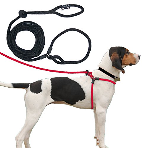 Harness Hundeleine mit Geschirr. von Harness Lead