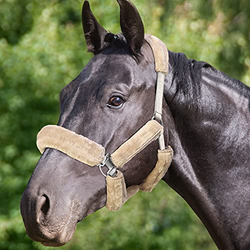 Harrison Howard Horse Halter Fleece Set-9 Pieces Beige von Harrison Howard